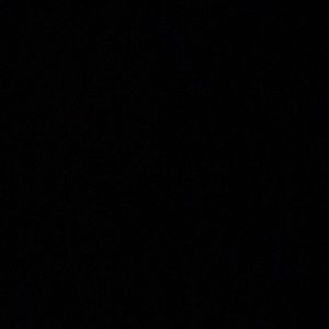 Meet your Posher, Bonnie